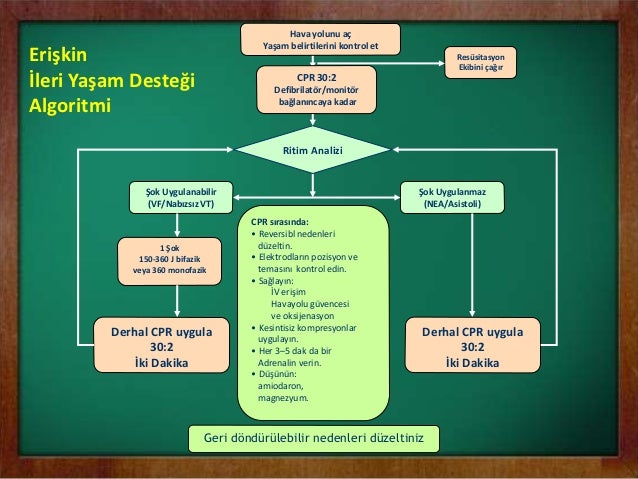 Yaşam enerjisine destek tedavisi 29
